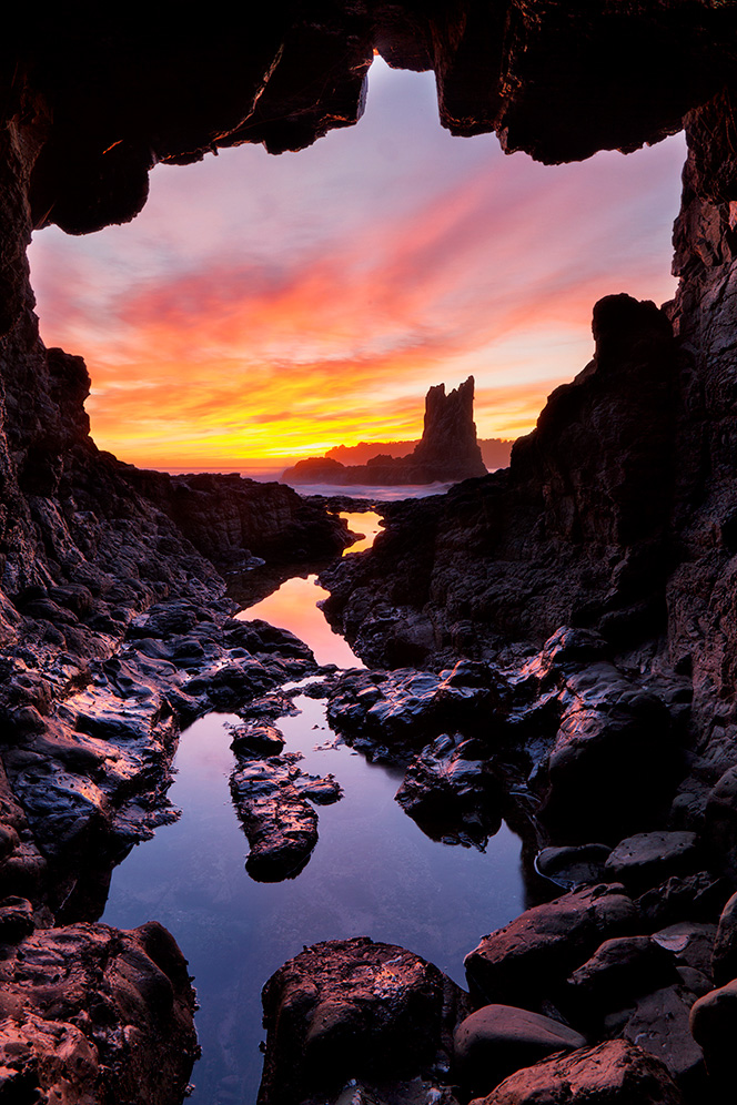 william-patino-ThriveWell